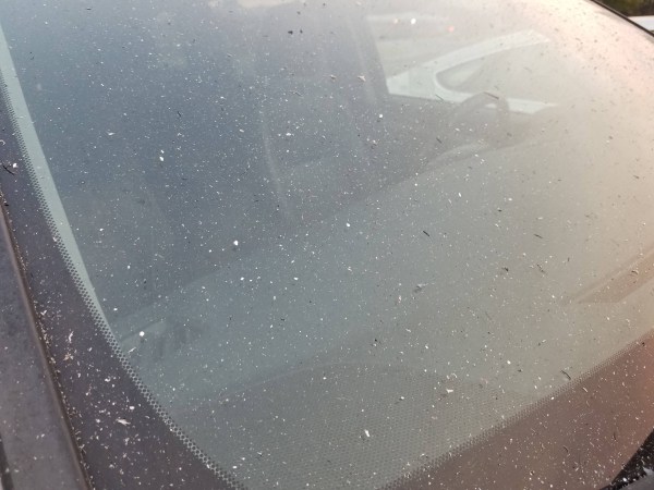 ash on car windshield
